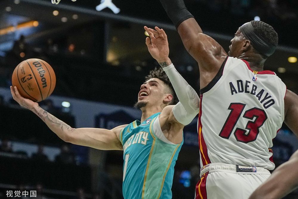 税的负担 税的负担